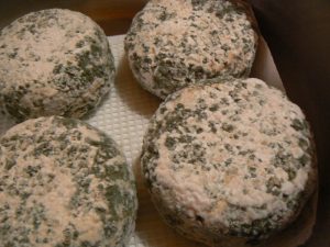 Blue cheese from Terra do Milho