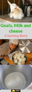 Goats, goatsmilk, cheese