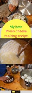 Fresh cheese recipe