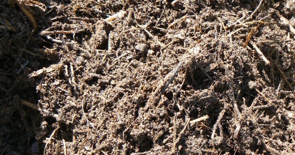 How to Analysing the soil from your vegetable garden.