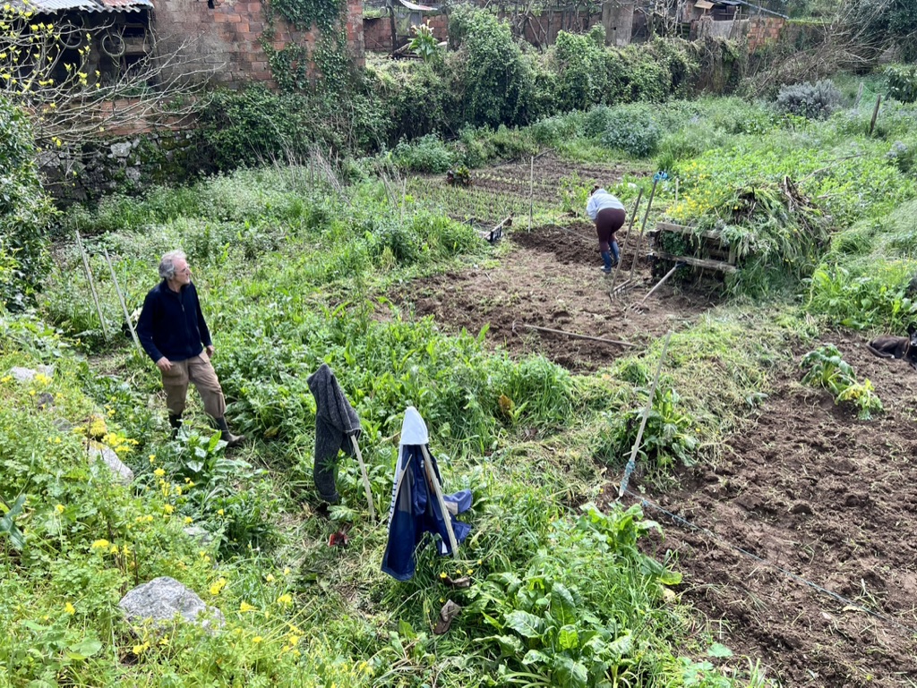 Working on our bem parece garden