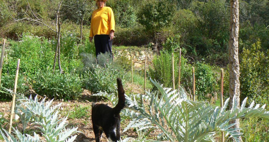 5 reasons why we started our homestead