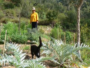 Our vegetable garden on our Homestead
