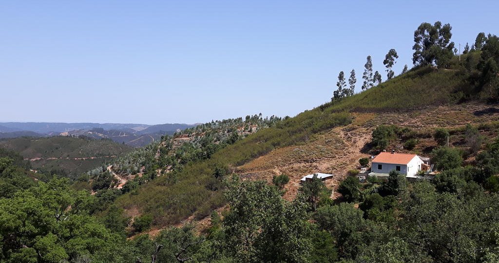 Starting a Homestead In a Remote Area.