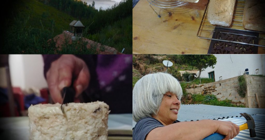 How to Start a Homestead