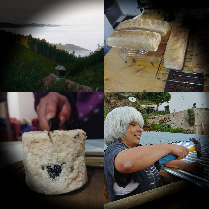 How to prepare for homesteading