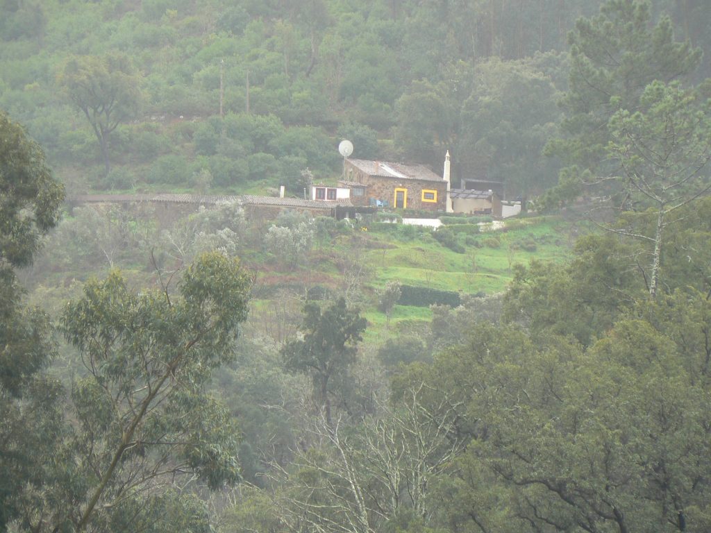 Picture your homestead