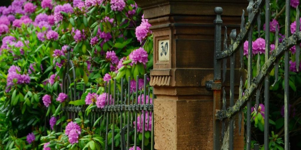 What not to feed your goats