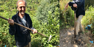 Tom my husband is showing a haw and a spade.