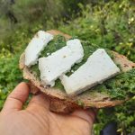terradomilho chefes on bread