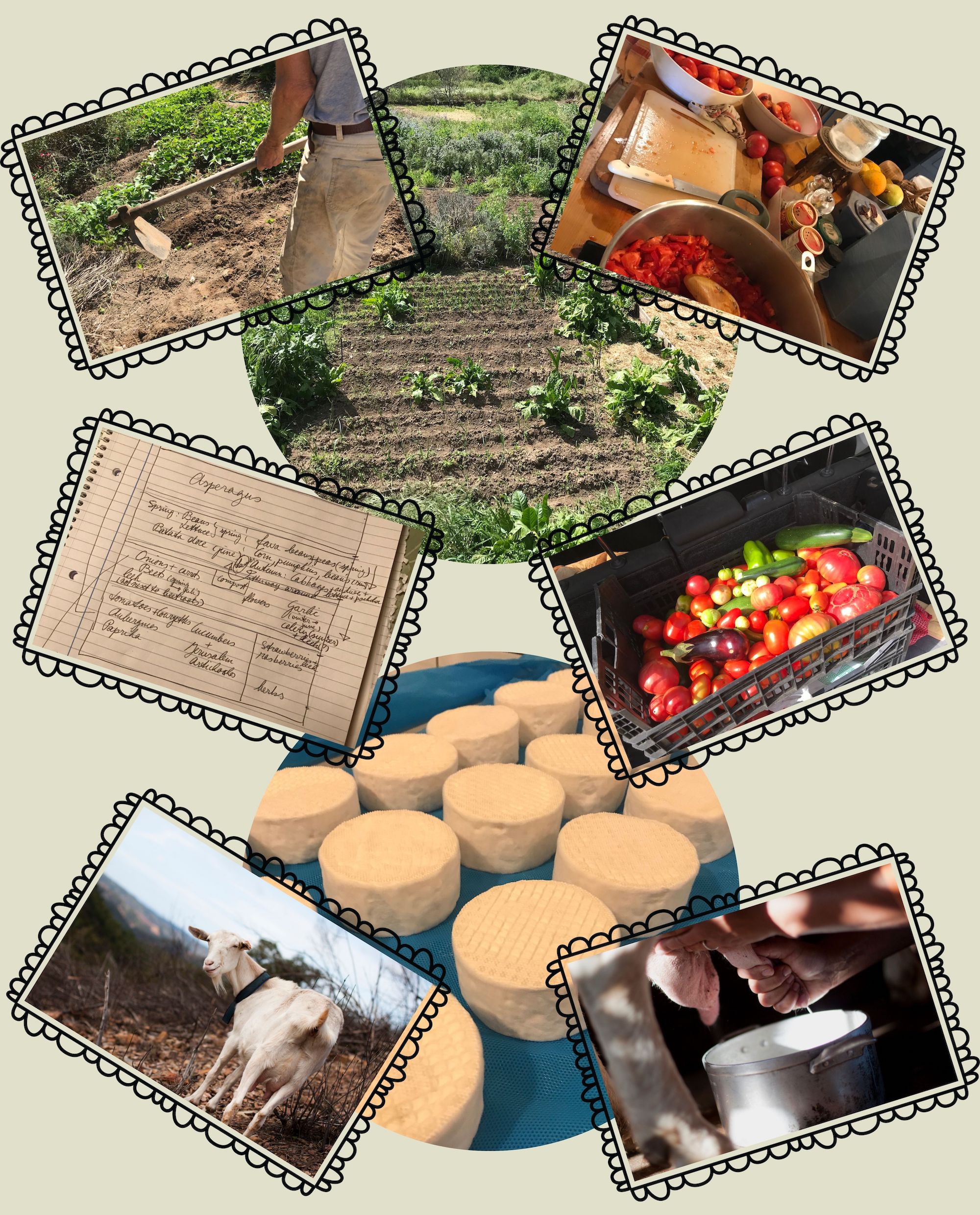 Our Farm Monchique Homestead