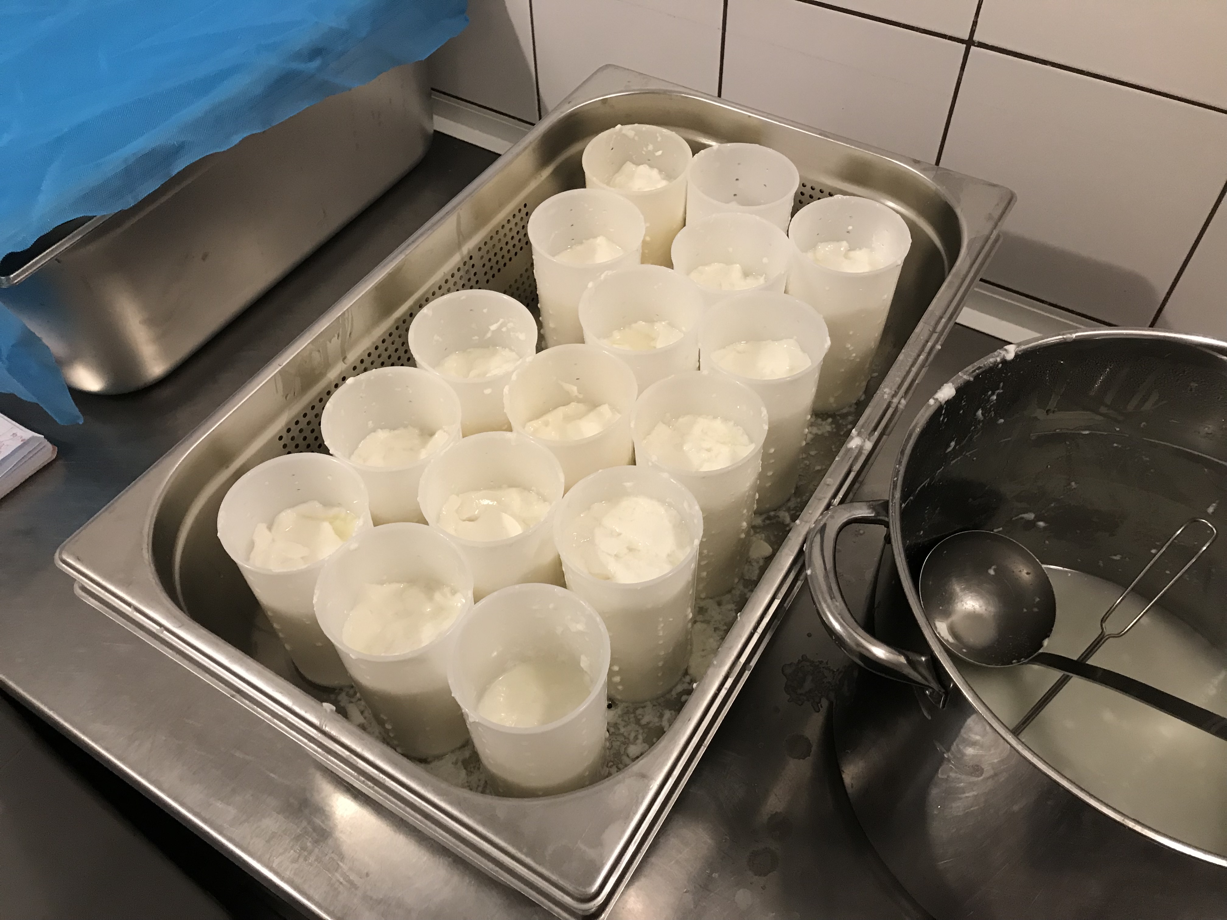 Cheese making on Monchique Homestead