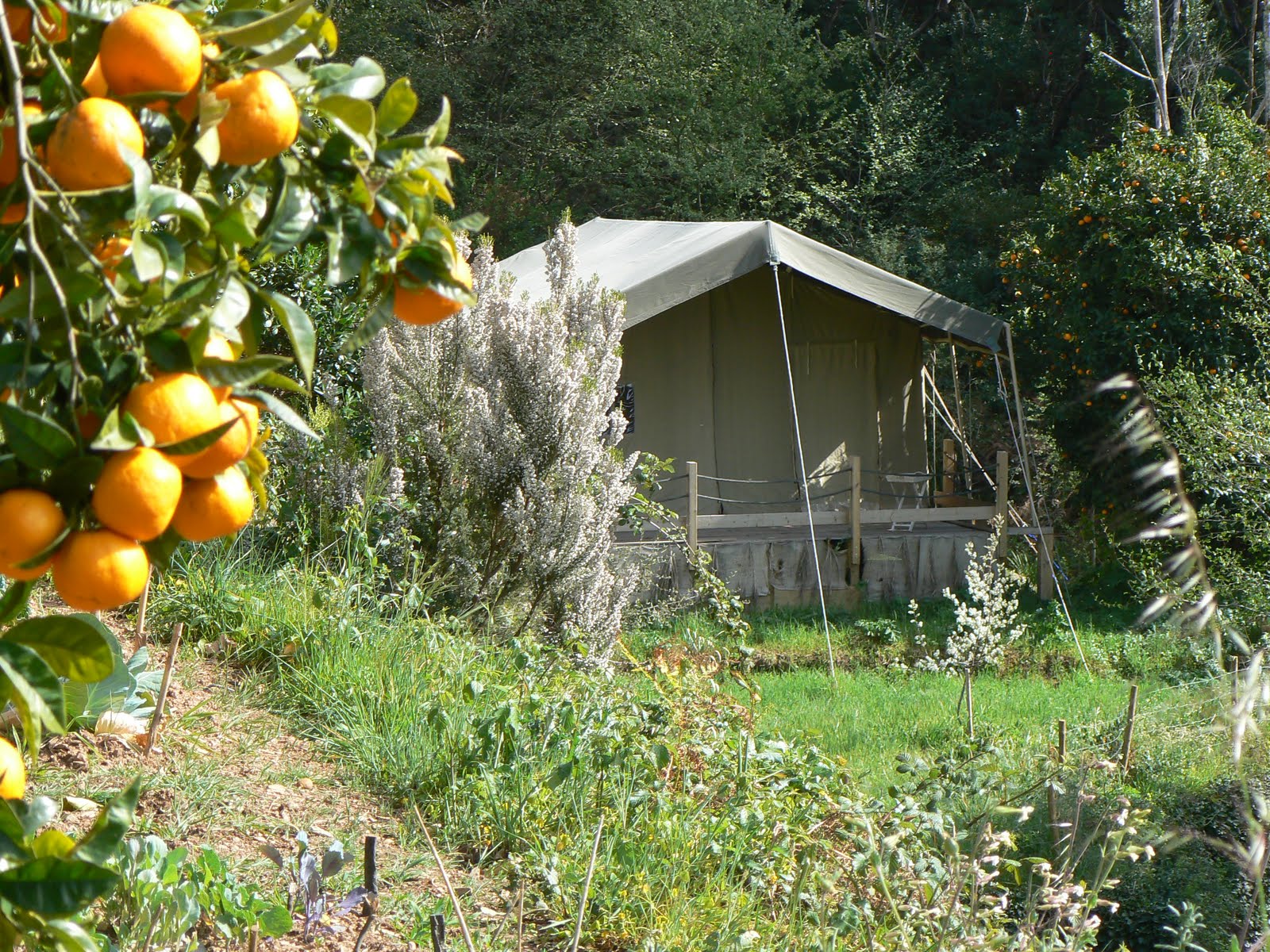 The Safaritent we used to have on Monchique Homestead