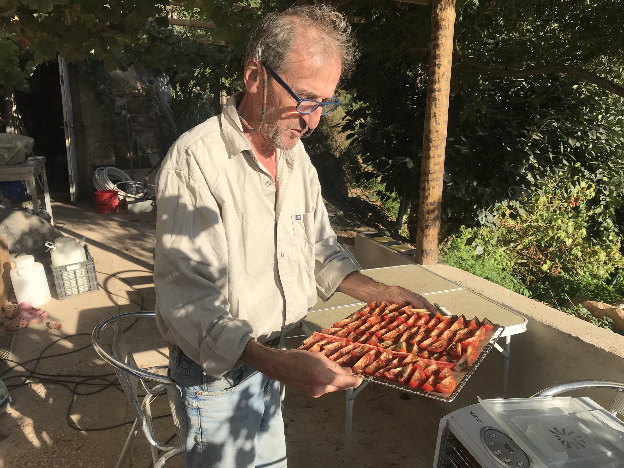 Tom with a prepared tray of tomatoes for the dehydrator.