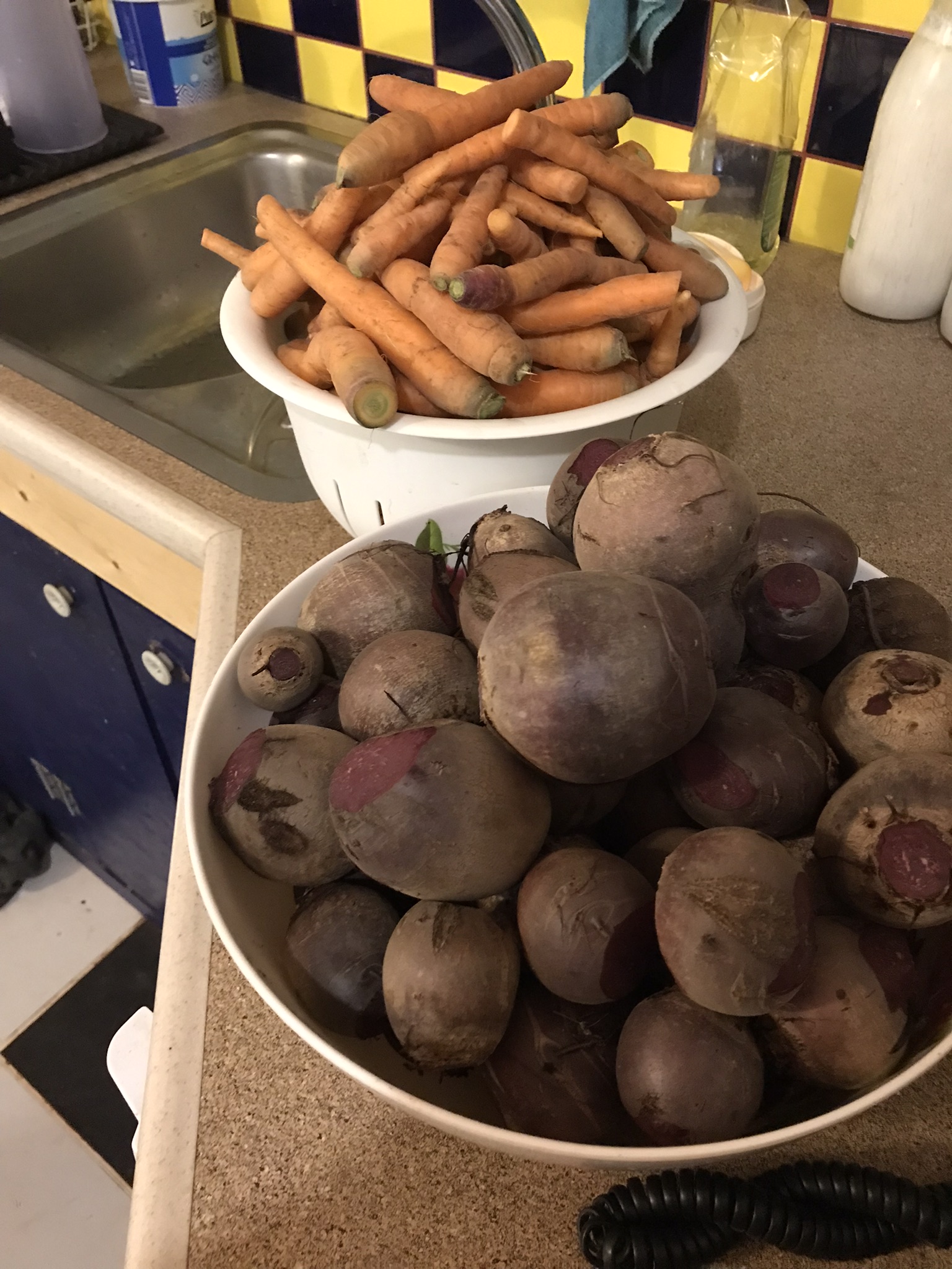 Homegrown Carrots and beetroots