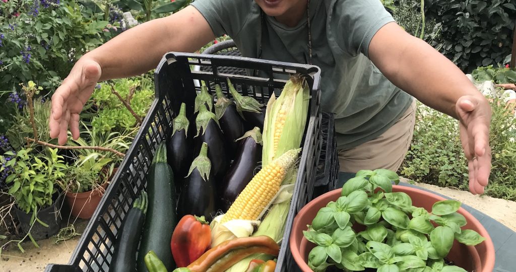 How Much Should You Plant for a Vegetable Garden