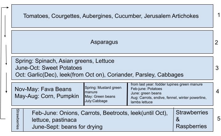 Crop rotation in a vegetable garden