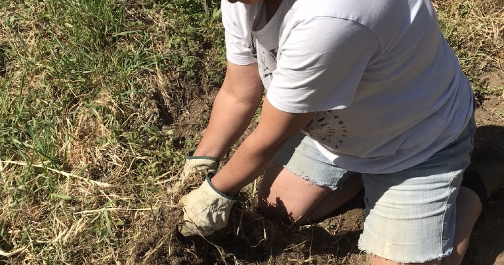 How to Prepare Your First Vegetable Garden Bed