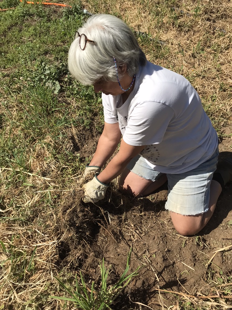 Pulling out weeds Monchique Homestead