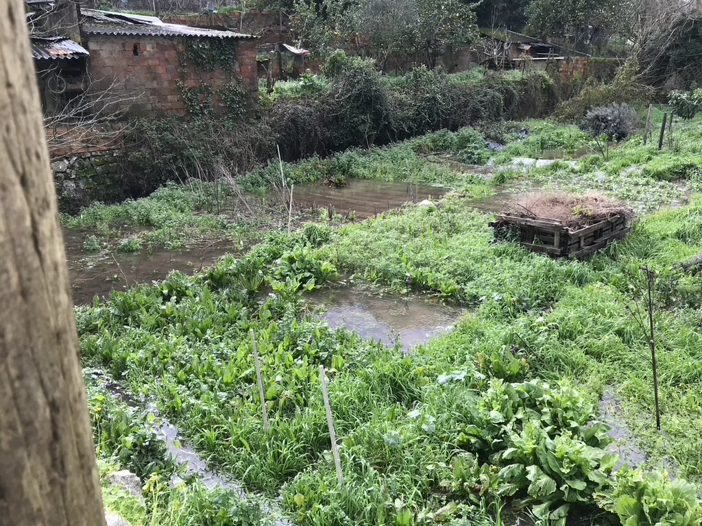 Flooded Vegetable garden in Monchique